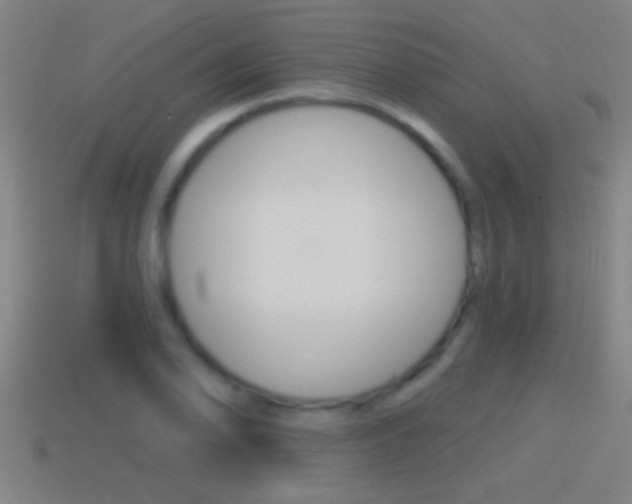 X0000114611078200910200935