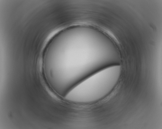 X0000114611079200910200935