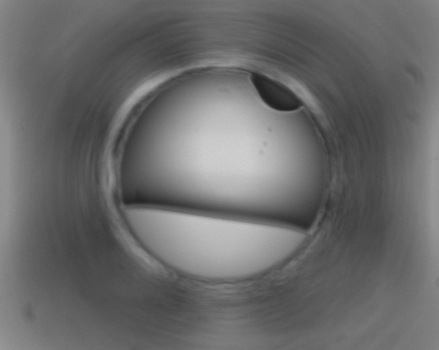 X0000114611080200910200935
