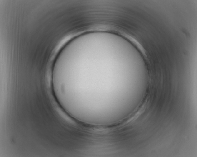 X0000114611083200910200935