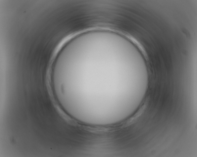 X0000114611085200910200935
