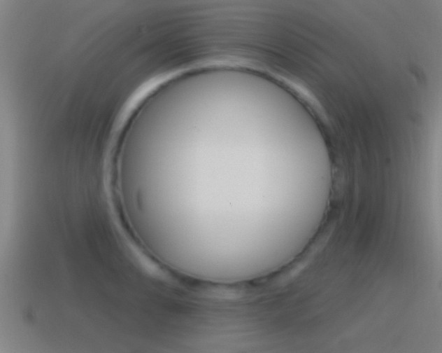 X0000114611086200910200935