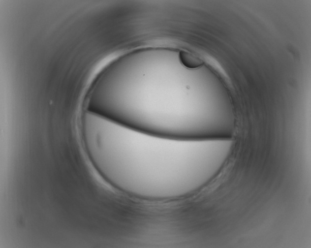 X0000114611087200910200935