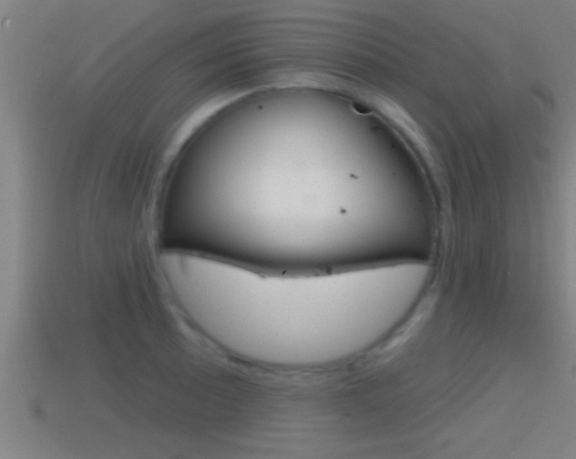 X0000114611089200910200935