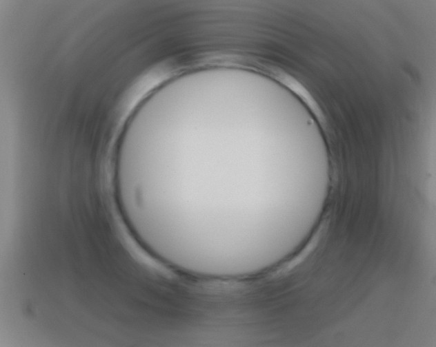X0000114611090200910200935