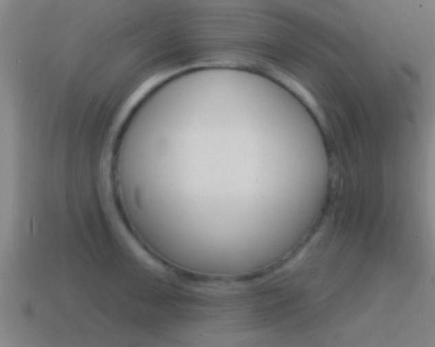X0000114611091200910200935