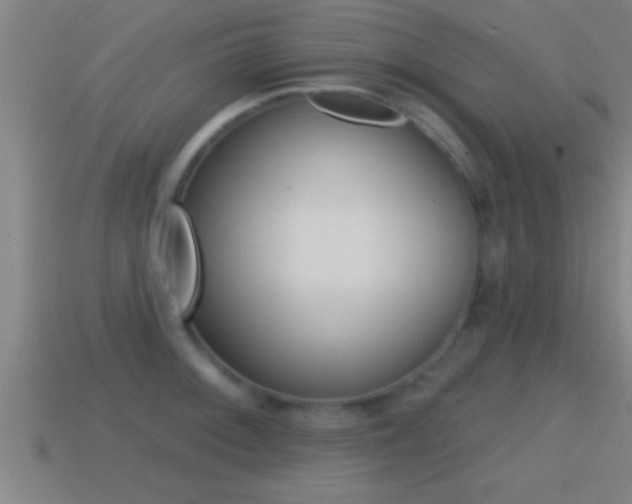 X0000114611092200910200935