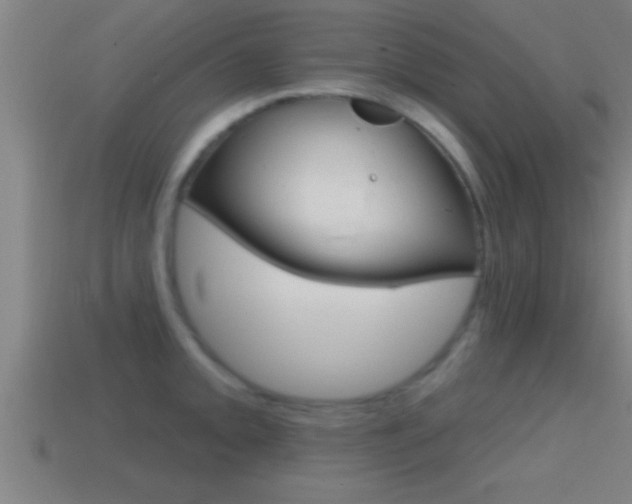 X0000114611093200910200935