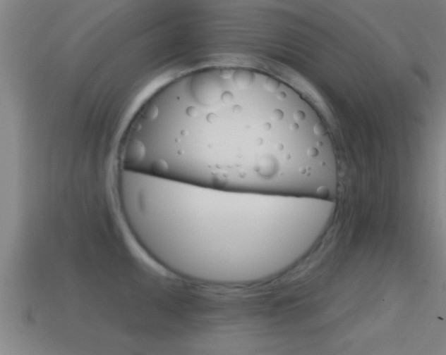 X0000114611095200910200935