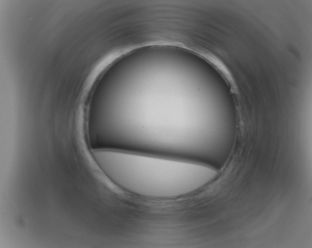 X0000114611096200910200935