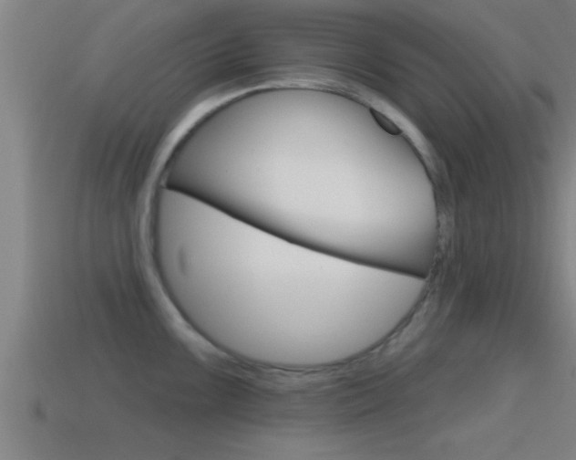 X0000114611099200910200935