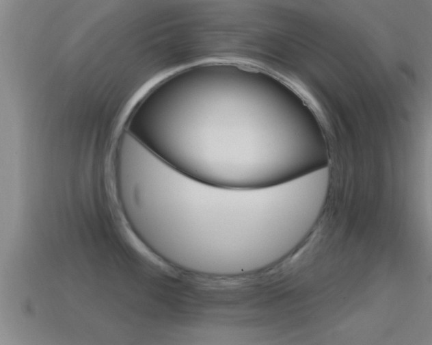 X0000114611100200910200935