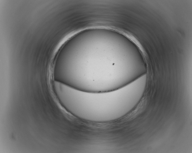 X0000114611101200910200935