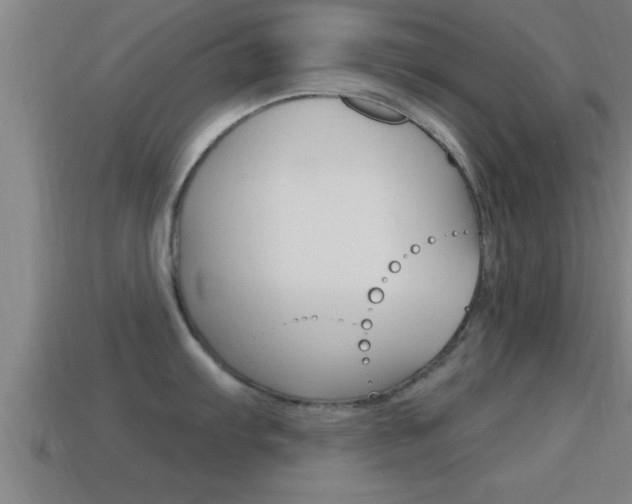 X0000114611103200910200935