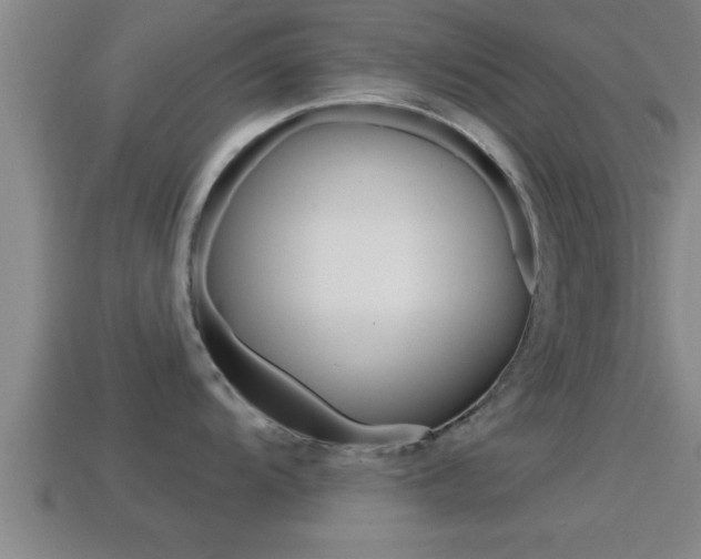 X0000114611104200910200935