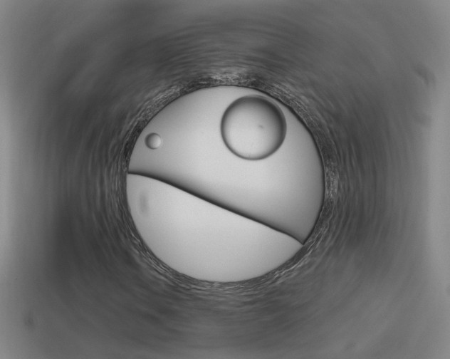 X0000114611106200910200934