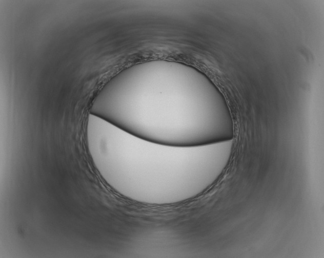 X0000114611109200910200934