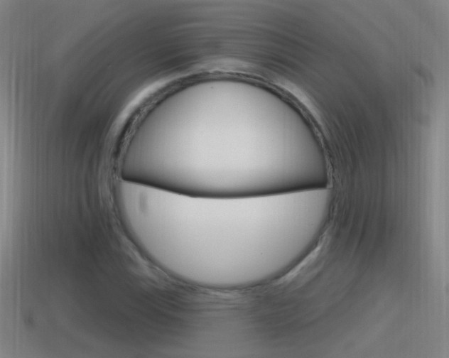 X0000114611115200910200934