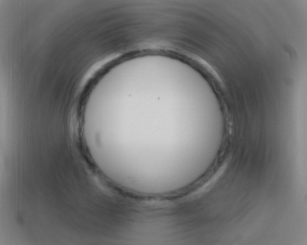 X0000114611117200910200934