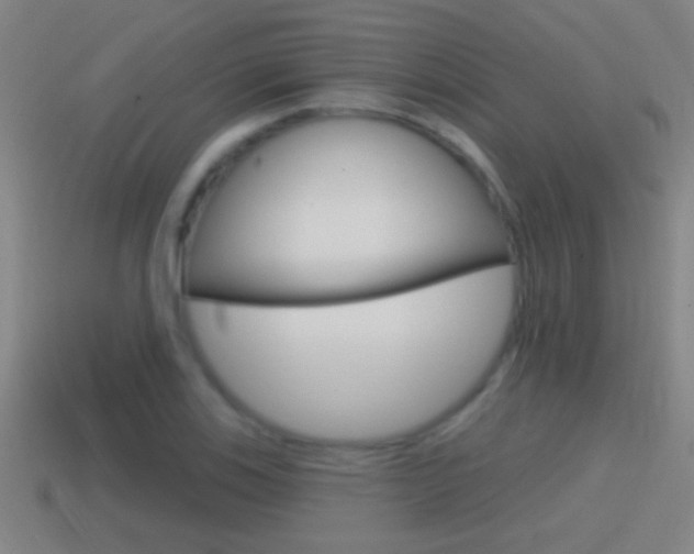 X0000114611123200910200934