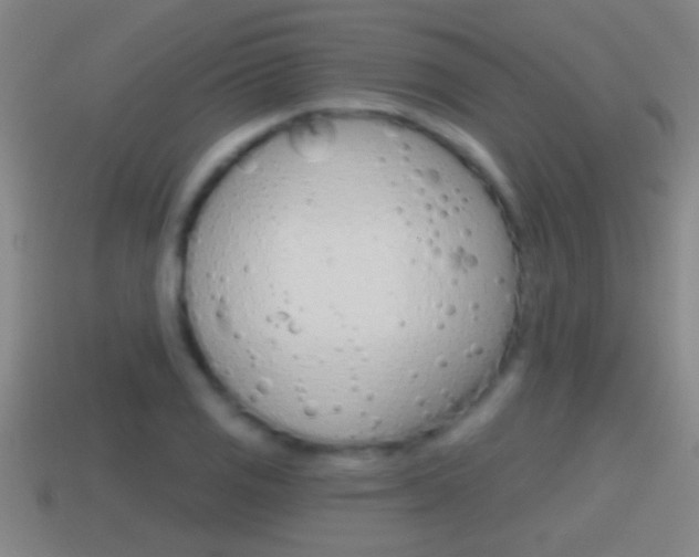 X0000114611125200910200934