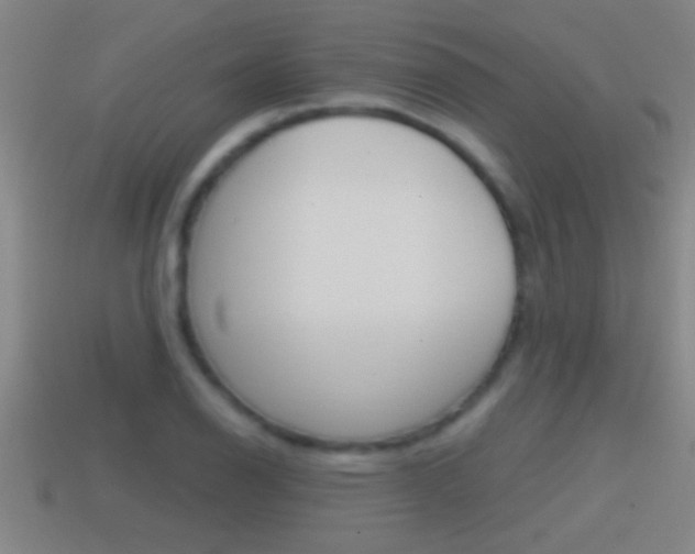 X0000114611126200910200934