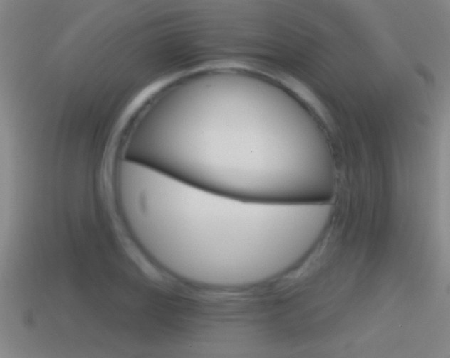 X0000114611127200910200934