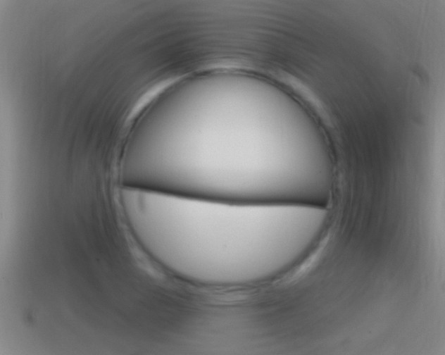 X0000114611129200910200934