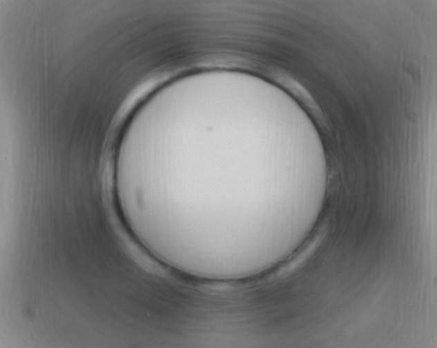X0000114611130200910200934