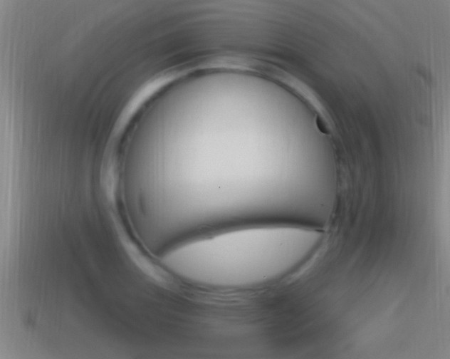 X0000114611131200910200934
