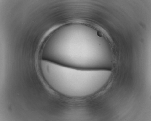 X0000114611133200910200934