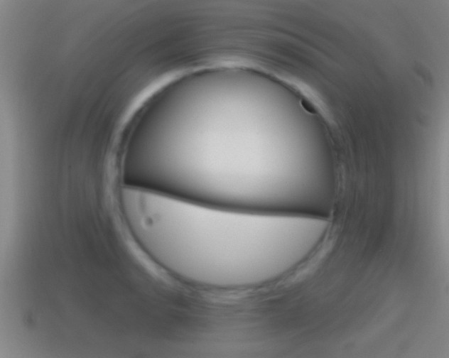 X0000114611134200910200934