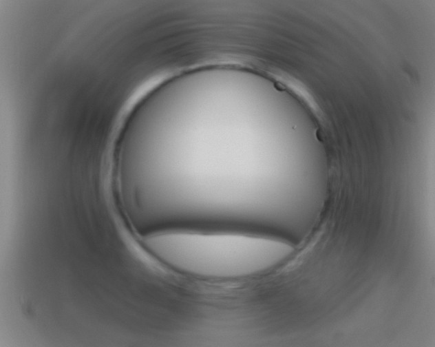 X0000114611135200910200934
