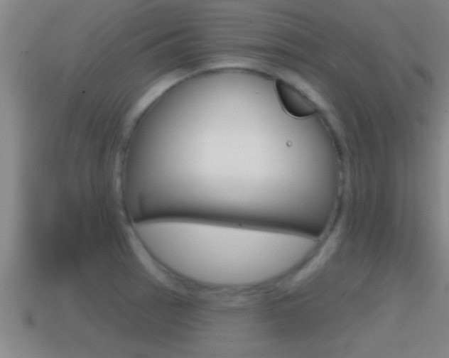 X0000114611137200910200934