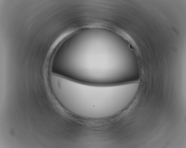 X0000114611138200910200934