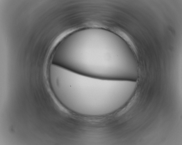 X0000114611141200910200934
