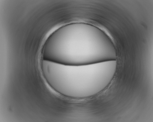 X0000114611143200910200934