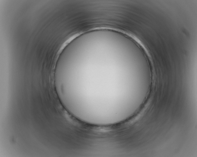 X0000114611145200910200934