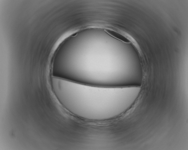 X0000114611146200910200934