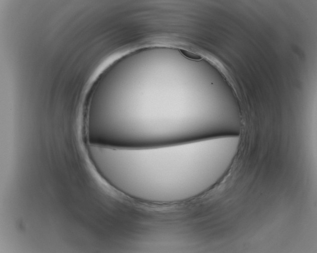 X0000114611147200910200934