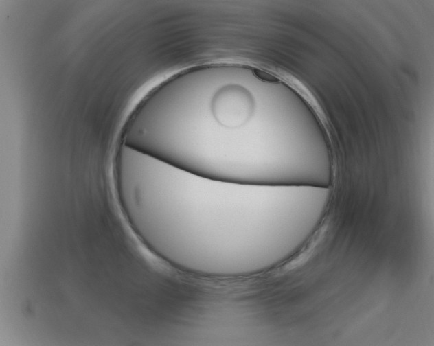 X0000114611149200910200935