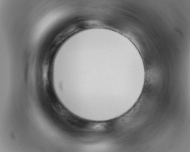 X0000114611150200910200935