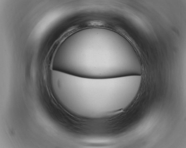 X0000114611151200910200935