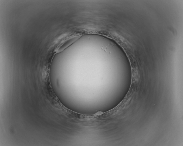 X0000114611157200910200934