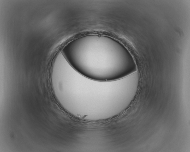 X0000114611159200910200934