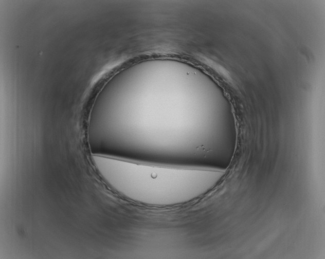 X0000114611160200910200934