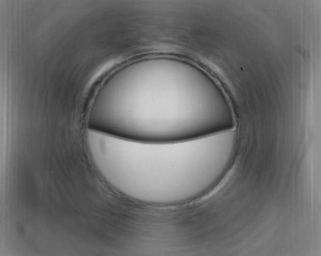 X0000114611163200910200934