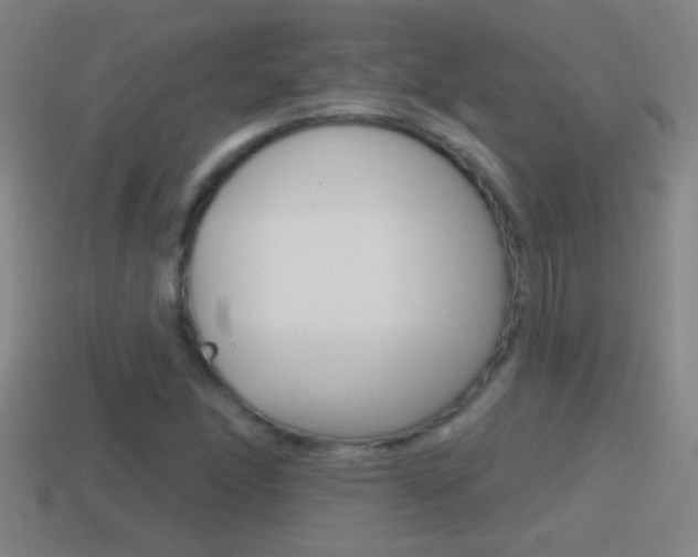 X0000114611166200910200934