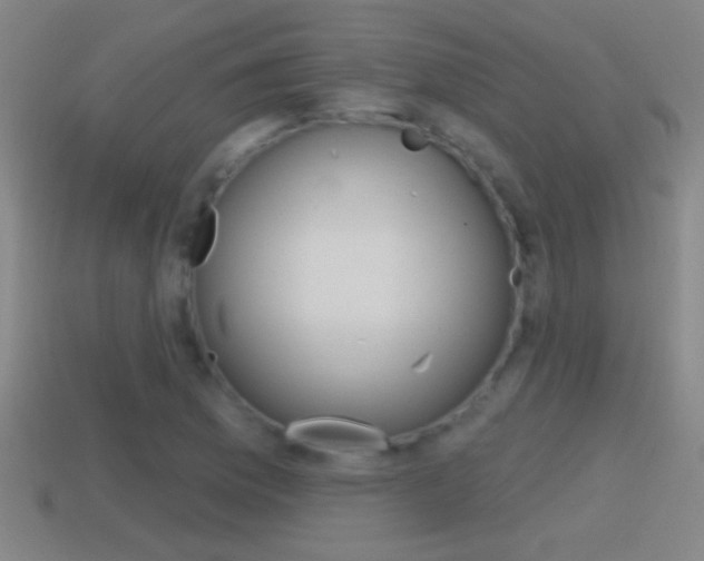 X0000114611169200910200934