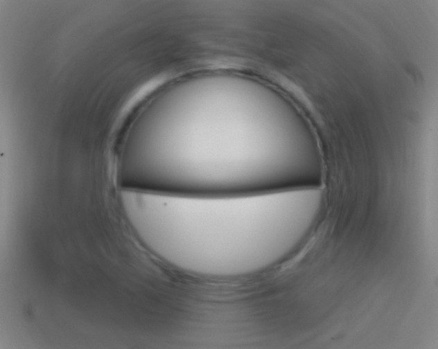 X0000114611171200910200934